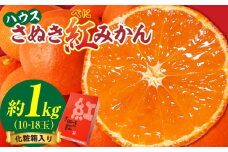 ハウスさぬき紅みかん 約1kg10-18玉（化粧箱入り）【香川県共通返礼品】|さぬき さぬき紅みかん 紅みかん 小原早生 小原早生みかん 最上階級 化粧箱 贈り物 贈りもの ギフト 厳選 果物 フルーツ 人気 香川 香川県 三木町 ハウス栽培 ジューシー 糖度が高い 先行受付 先行予約 季節限定 旬 おすすめ|_mk006-045