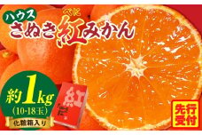 ハウスさぬき紅みかん 約1kg10-18玉（化粧箱入り）【香川県共通返礼品】|さぬき さぬき紅みかん 紅みかん 小原早生 小原早生みかん 最上階級 化粧箱 贈り物 贈りもの ギフト 厳選 果物 フルーツ 人気 香川 香川県 三木町 ハウス栽培 ジューシー 糖度が高い 先行受付 先行予約 季節限定 旬 おすすめ|_mk006-045