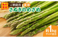 ご家庭用アスパラガス「さぬきのめざめ」（セミロング）夏芽　サイズ混合約1kg | 野菜 アスパラ アスパラガス さぬきのめざめ 家庭用 夏 冷蔵 新鮮 香川県 三木町 セミロング おすすめ |_mk006-024