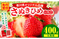 【年内発送】三木町地域いちご部会『さぬきひめ』　400g（化粧箱入）| スイーツ いちご ストロベリー イチゴ さぬき姫 さぬきひめ 苺 甘い 冷蔵 フルーツ 旬 果物 香川県 デザート 青果物 贈答 プレゼント 化粧箱 贈り物 おすすめ |_mk006-017