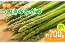 香川オリジナルアスパラガス「さぬきのめざめ」（セミロング）夏芽　700ｇ | 野菜 アスパラ アスパラガス さぬきのめざめ 料理 柔らかい 夏 冷蔵 新鮮 香川県 三木町 セミロング おすすめ |_mk006-028