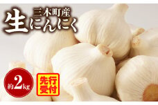 三木町産　生にんにく　約2kg にんにく ガーリック 肉厚 野菜 食材 国産 国産にんにく 薬味 調味 スタミナ 料理 贈答 贈り物 ギフト おすそ分け ストック 生鮮食品 食品 グルメ お取り寄せ おすすめ 特産 特産品 人気 自宅用 家庭用 香川県 三木町 _mk006-039