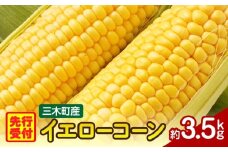 三木町産　イエローコーン　約3.5kg | うもろこし 野菜 コーン イエローコーン 旬の野菜 旬 季節の野菜 季節 贈答 贈り物 ギフト プレゼント おすそ分け グルメ お取り寄せ 人気 おすすめ 特産 特産品 生鮮食品 香川県 三木町 |_mk006-040