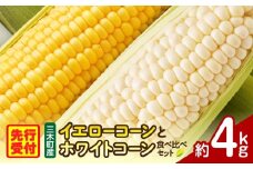 三木町産　イエローコーンとホワイトコーンの食べ比べセット | とうもろこし ホワイトコーン イエローコーン 食べ比べ セット 食べ比べセット 詰め合わせ 野菜 旬 旬の野菜 季節の野菜 グルメ お取り寄せ 人気 おすすめ 香川県 三木町 |_mk006-041