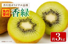 香川県オリジナルキウイフルーツ「香緑」約3kg【香川県共通返礼品】 | キウイ フルーツ 果物 香川県 香緑 デザート サラダ ヨーグルト トッピング 国産 季節限定 青果物 旬 おすすめ |_mk006-030