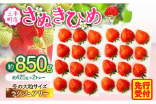 【2026年発送分 先行受付】苺音ラグジュアリー～冬の大粒さぬきひめいちご～　約850g | スイーツ いちご イチゴ ストロベリー さぬきひめ さぬき姫 苺 冷蔵 フルーツ 旬 果物 香川県 デザート 青果物 おすすめ |_mk137-002