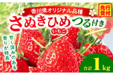 三木町地域いちご部会『さぬきひめ』　つる付き　1kg | スイーツ いちご ストロベリー イチゴ さぬき姫 さぬきひめ 苺 甘い 冷蔵 1kg以上 フルーツ 旬 果物 香川県 デザート 青果物 贈答 プレゼント 贈り物 おすすめ |_mk006-014