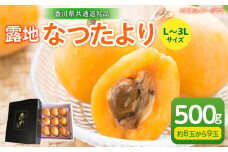 露地なつたよりびわ　500g【香川県共通返礼品】|びわ フルーツ 果物 デザート 贈り物 贈答 旬 旬の果物 ギフト 果実 グルメ お取り寄せ 季節 季節の果物 甘み 甘い果物 初夏 香川県 三木町 送料無料|_mk025-002