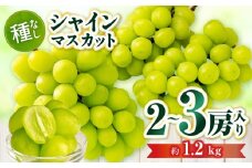 シャインマスカット　2～3房入り（約1.2kg） | マスカット ぶどう ブドウ 葡萄 果物 フルーツ 人気 香川 香川県 三木町 種なし 皮ごと食べられる ジューシー 旬 おすすめ |_mk006-034