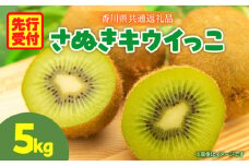 さぬきキウイっこ5.0kg【香川県共通返礼品】|キウイ 果物 フルーツ デザート 旬 旬の果物 季節 季節の果物 人気 おすすめ 贈り物 贈答 プレゼント ご褒美 キウイフルーツ さぬきキウイ 香川 香川県 三木町 送料無料|_mk025-003