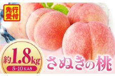 さぬきの桃　約1.8kg(5～10玉入り)　（さぬき市共通返礼品） | もも モモ 桃 果物 フルーツ さぬきの桃 香川県 三木町 青果物 デザート 旬 国産 おすすめ |_mk006-035