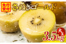 さぬきゴールド3.5kg(大玉)【香川県共通返礼品】|キウイ フルーツ デザート 果物 ゴールドキウイ 甘み 贈り物 贈答 旬 旬の果物 旬のフルーツ おすすめ 人気 特産品 果肉 季節の果物 季節 グルメ 生鮮食品 お裾分け 香川県 三木町|_mk025-004