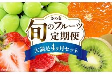 さぬき旬のフルーツ大満足　4回定期便|果物 フルーツ 青果 青果物 いちご みかん シャインマスカット キウイフルーツ さぬきひめ 果物定期便 小原紅早生みかん マスカット キウイ 定期便 4回 旬の果物 季節の果物 贈答 贈り物 香川 ギフト 化粧箱 取り寄せ グルメ 香川県 三木町 送料無料|_mk006-t008