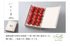 あぐりぼん　いちご「女峰」【贈答用】いとしきみ化粧箱　約400g（15～18粒）| いちご 果物 フルーツ デザート ストロベリー 果肉 スイーツ 甘い 国産 贈り物 贈答 プレゼント グルメ 人気 おすすめ 季節 旬 旬の果物 香川県 三木町 送料無料|_mk144-001