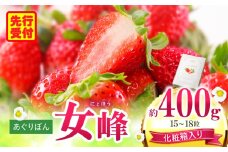 あぐりぼん　いちご「女峰」【贈答用】いとしきみ化粧箱　約400g（15～18粒）| いちご 果物 フルーツ デザート ストロベリー 果肉 スイーツ 甘い 国産 贈り物 贈答 プレゼント グルメ 人気 おすすめ 季節 旬 旬の果物 香川県 三木町 送料無料|_mk144-001