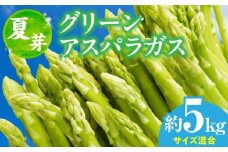 【夏芽】グリーンアスパラガス サイズ混合約5kg | グリーンアスパラガス アスパラガス アスパラ 夏芽 おすすめ 混合 シャキシャキ 野菜 冷蔵 新鮮 新鮮野菜 香川県 国産 三木町 おすすめ |_mk006-004