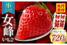 【苺ファーム森本】女峰いちご 小パック180ｇ×4パック ≪IDOMALL セレクト≫|いちご ストロベリー 女峰 苺 冷蔵 フルーツ 旬 果物 香川県 デザート 青果物 贈答 プレゼント パック 贈り物 おすすめ|_mk048-007
