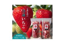 【苺ファーム森本】完熟女峰の冷凍いちご 450g×2袋 ≪IDOMALL セレクト≫|スイーツ いちご ストロベリー 女峰 苺 ジャム いちごジャム 冷凍 フルーツ 旬 果物 香川県 デザート 青果物 贈答 プレゼント 贈り物 おすすめ|_mk048-010
