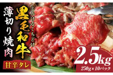とろける黒毛和牛リッチな薄切り焼肉2.5kg(250g×10P)　秘伝のタレ漬け|肉 黒毛和牛 焼肉 タレ 漬け 秘伝 柔らかい 味付き やきにく ロース 肩ロース サーロイン カルビ モモ 薄切り 希少 小分け 冷凍 BBQ バーベキュー 香川県 三木町|_mk146-021