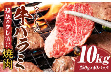 やわらか牛ハラミ焼肉　秘伝のタレ漬け10kg(250g×40P) | 牛肉 焼肉 タレ 漬け 秘伝 柔らかい 味付き やきにく ハラミ 希少 小分け 厚切り 冷凍 BBQ バーベキュー 香川県 三木町 国産 おすすめ |_mk146-030