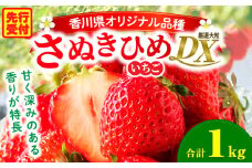 【年内発送】三木町地域いちご部会「さぬきひめ」1kgDXパック | スイーツ いちご ストロベリー イチゴ さぬき姫 さぬきひめ 苺 甘い 大粒 冷蔵 フルーツ 旬 果物 香川県 デザート 青果物 贈答 プレゼント 贈り物 おすすめ |_mk006-016