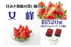 あぐりぼん　いちご「女峰」　約260gパック×2個（約520g）|いちご 果物 フルーツ デザート ストロベリー 果肉 スイーツ 甘い 国産 贈り物 贈答 プレゼント グルメ 人気 おすすめ 季節 旬 旬の果物 香川県 三木町 送料無料|_mk144-008