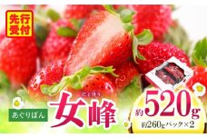 あぐりぼん　いちご「女峰」　約260gパック×2個（約520g）|いちご 果物 フルーツ デザート ストロベリー 果肉 スイーツ 甘い 国産 贈り物 贈答 プレゼント グルメ 人気 おすすめ 季節 旬 旬の果物 香川県 三木町 送料無料|_mk144-008