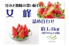 あぐりぼん　いちご「女峰」　詰め合わせ約1.4kg　（約700g×2箱）|いちご 果物 フルーツ デザート ストロベリー 果肉 スイーツ 甘い 国産 贈り物 贈答 プレゼント グルメ 人気 おすすめ 季節 旬 旬の果物 詰め合わせ 香川県 三木町 送料無料|_mk144-012