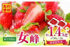 あぐりぼん　いちご「女峰」　詰め合わせ約1.4kg　（約700g×2箱）|いちご 果物 フルーツ デザート ストロベリー 果肉 スイーツ 甘い 国産 贈り物 贈答 プレゼント グルメ 人気 おすすめ 季節 旬 旬の果物 詰め合わせ 香川県 三木町 送料無料|_mk144-012