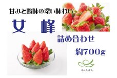 あぐりぼん　いちご「女峰」　詰め合わせ（約700g）|いちご 果物 フルーツ デザート ストロベリー 果肉 スイーツ 甘い 国産 贈り物 贈答 プレゼント グルメ 人気 おすすめ 季節 旬 旬の果物 詰め合わせ 香川県 三木町 送料無料|_mk144-010