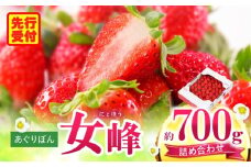 あぐりぼん　いちご「女峰」　詰め合わせ（約700g）|いちご 果物 フルーツ デザート ストロベリー 果肉 スイーツ 甘い 国産 贈り物 贈答 プレゼント グルメ 人気 おすすめ 季節 旬 旬の果物 詰め合わせ 香川県 三木町 送料無料|_mk144-010