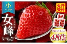 【苺ファーム森本】女峰いちご 小パック160g×3パック ≪IDOMALL セレクト≫|スイーツ いちご ストロベリー 女峰 苺 ジャム いちごジャム フルーツ 旬 果物 香川県 デザート 青果物 贈答 プレゼント 贈り物 おすすめ|_mk048-011