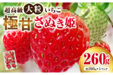 超高級大粒いちご　極甘さぬき姫260g×1パック(ハンモックトレー) | いちご 大粒 高級 さぬき姫 果物 フルーツ おすすめ 旬 イチゴ 季節 旬の果物 ギフト パック 果実 贈り物 デザート 人気 果肉 生鮮食品 国産 冷蔵 香川県 三木町 |_mk165-001