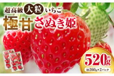 超高級大粒いちご　極甘さぬき姫260g×2パック(ハンモックトレー) | いちご 大粒 高級 さぬき姫 果物 フルーツ おすすめ 旬 イチゴ 季節 旬の果物 ギフト パック 果実 贈り物 デザート 人気 果肉 生鮮食品 国産 冷蔵 香川県 三木町 |_mk165-002