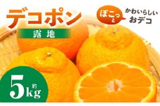 デコポン(露地)　5kg | デコポン みかん フルーツ 果物 旬 柑橘 デザート お裾分け 旬 旬の果物 おすすめ 人気 デザート 生鮮食品 果実 お取り寄せ 贈答用  贈り物 柑橘類 季節 季節の果物 柑橘系 香川県 三木町 |_mk165-007