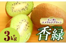キウイフルーツ(香緑)　3.0kg | キウイ フルーツ 果物 旬 旬の果物 キウイフルーツ デザート 生鮮食品 贈り物 贈答 お裾分け おすすめ 人気 ギフト グルメ 特産品 果肉 季節 季節の果物 香川県 三木町 |_mk165-013