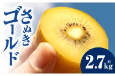 キウイフルーツ(さぬきゴールド)　2.7kg | キウイ フルーツ 果物 旬 旬の果物 キウイフルーツ デザート 生鮮食品 贈り物 贈答 お裾分け おすすめ 人気 ギフト グルメ 特産品 果肉 季節 季節の果物 香川県 三木町 |_mk165-011