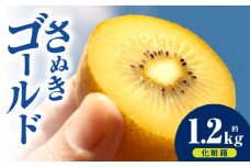 キウイフルーツ(さぬきゴールド)　化粧箱1.2kg | キウイ フルーツ 果物 旬 旬の果物 キウイフルーツ デザート 生鮮食品 贈り物 贈答 お裾分け おすすめ 人気 ギフト グルメ 特産品 果肉 季節 季節の果物 香川県 三木町 |_mk165-010