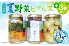 新鮮！三木町夏野菜ピクルス　小(140g)3個セット | ピクルス 野菜 夏野菜 果物 フルーツ 漬物 お漬物 和風 洋風 デザート 酢たれ たれ ドレッシング 旬 季節 旬の野菜 季節の野菜 旬の果物 季節の果物 おかず おすすめ 人気 香川県 三木町 |_mk163-001