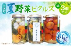新鮮！三木町夏野菜ピクルス　大(290g)3個セット | ピクルス 野菜 夏野菜 果物 フルーツ 漬物 お漬物 和風 洋風 デザート 酢たれ たれ 旬 季節 旬の野菜 季節の野菜 旬の果物 季節の果物 おかず おすすめ 人気 香川県 三木町 |_mk163-002