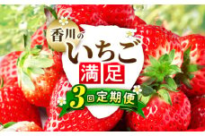 香川のいちご満足3回定期便|いちご 定期便 果物 フルーツ デザート ストロベリー 果肉 スイーツ 甘い 国産 贈り物 贈答 プレゼント グルメ いちご定期便 フルーツ定期便 人気 おすすめ 果物定期便 季節 旬 旬の果物 香川県 三木町 送料無料|_mk006-t010