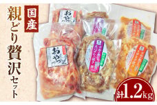 冷凍　国産親どり贅沢セット(スパイシー焼き・スタミナ焼き・ノーマルスライス) |  親鶏 親どり 味付き肉 もも肉 むね肉 塩 胡椒 ガーリック 醤油 みりん 味噌 焼き肉のタレ カット済 三木町 |_mk166-001