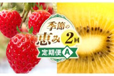 季節の恵み2回定期便A | 果物 フルーツ 定期便 フルーツ定期便 デザート スイーツ イチゴ ゴールドキウイ 青果物 キウイ 果物定期便 旬 旬の果物 ギフト グルメ ご褒美 贈り物 贈答 定期 人気 オススメ 厳選 お試し 香川県 三木町 |_mk165-t001