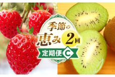 季節の恵み2回定期便C | 果物 スイーツ フルーツ デザート 旬の果物 旬のフルーツ 旬 定期便 果物定期便 旬のフルーツ定期便 フルーツ定期便 定期 厳選 キウイ イチゴ ご褒美 贈り物 贈答 ギフト 果実 香川県 三木町 |_mk165-t003