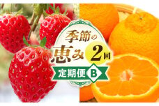 季節の恵み2回定期便B | フルーツ 果物 定期便 果物定期便 フルーツ定期便 定期 旬 旬の果物 デザート スイーツ イチゴ デコポン 柑橘 柑橘系 贈り物 贈答 ギフト グルメ 人気 おすすめ ご褒美 お取り寄せ 旬の定期便 厳選 香川県 三木町 |_mk165-t002