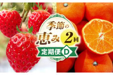 季節の恵み2回定期便D | 果物 定期便 果物定期便 フルーツ フルーツ定期便 定期 旬 旬の果物 旬のフルーツ 旬の定期便 いちご みかん 贈答 贈り物 ギフト 厳選 果実 青果物 果汁 ご褒美 デザート スイーツ 香川県 三木町 |_mk165-t004