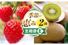 季節の恵み2回定期便E | 果物 フルーツ 定期便 定期 果物定期便 フルーツ定期便 スイーツ デザート 旬の果物 旬のフルーツ 旬の定期便 贈り物 贈答 ギフト 厳選 ギフト ご褒美 いちご キウイ キウイフルーツ 香川県 三木町 |_mk165-t005