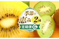 季節の恵み2回定期便G | 果物 フルーツ 定期便 フルーツ定期便 果物定期便 旬 旬の果物 旬のフルーツ 旬の定期便 果実 果汁 デザート スイーツ キウイ キウイフルーツ ゴールドキウイ 厳選 贈り物 贈答 ギフト ご褒美 香川県 三木町 |_mk165-t007