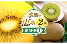 季節の恵み2回定期便I | 果物 定期便 旬の果物 旬のフルーツ フルーツ 旬の定期便 果物定期便 旬の果物定期便 デザート スイーツ ご褒美 贈答 贈り物 ギフト キウイ キウイフルーツ ゴールドキウイ フルーツ定期便 香川県 三木町 |_mk165-t009