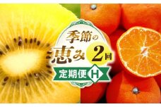 季節の恵み2回定期便H | 果物 フルーツ 定期便 果物定期便 フルーツ定期便 果実 旬 旬の果物 旬のフルーツ 旬の果物定期便 旬の定期便 デザート スイーツ 果汁 ご褒美 贈答 贈り物 キウイ ゴールドキウイ キウイフルーツ みかん 香川県 三木町 | _mk165-t008